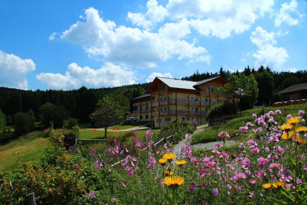 Berghotel Mooshuette Lohberg Exterior photo